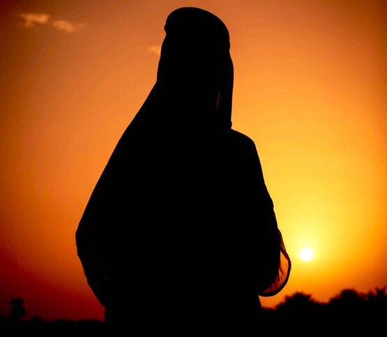 Government & Heads of State 1